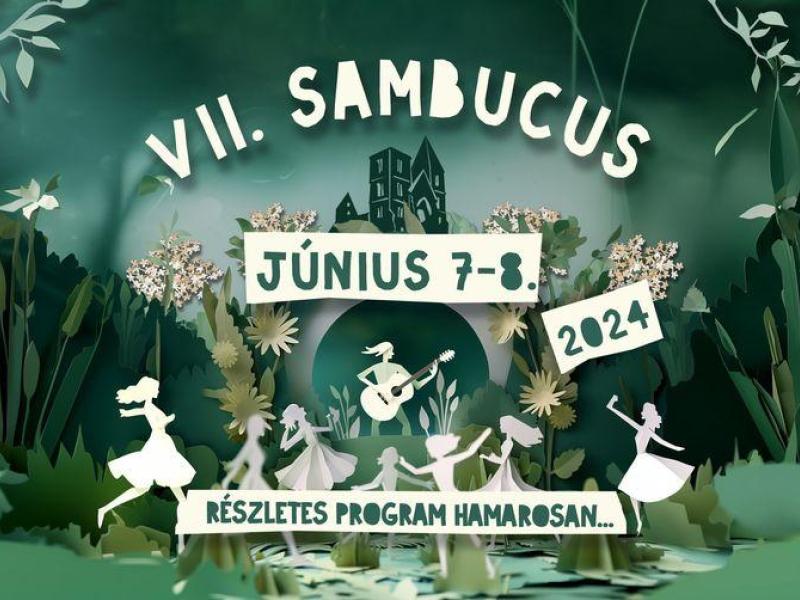 Sambucus 7